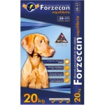 Forzecan equilibrio